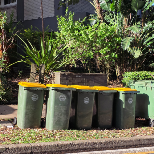 호주 쓰레기 분리수거 통 노란 통