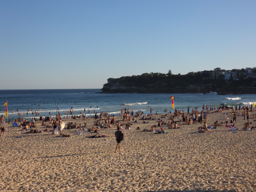 호주 시드니 본다이 비치의 빨간색과 노란색이 반반 섞인 깃발